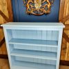 Bookcase Low Painted